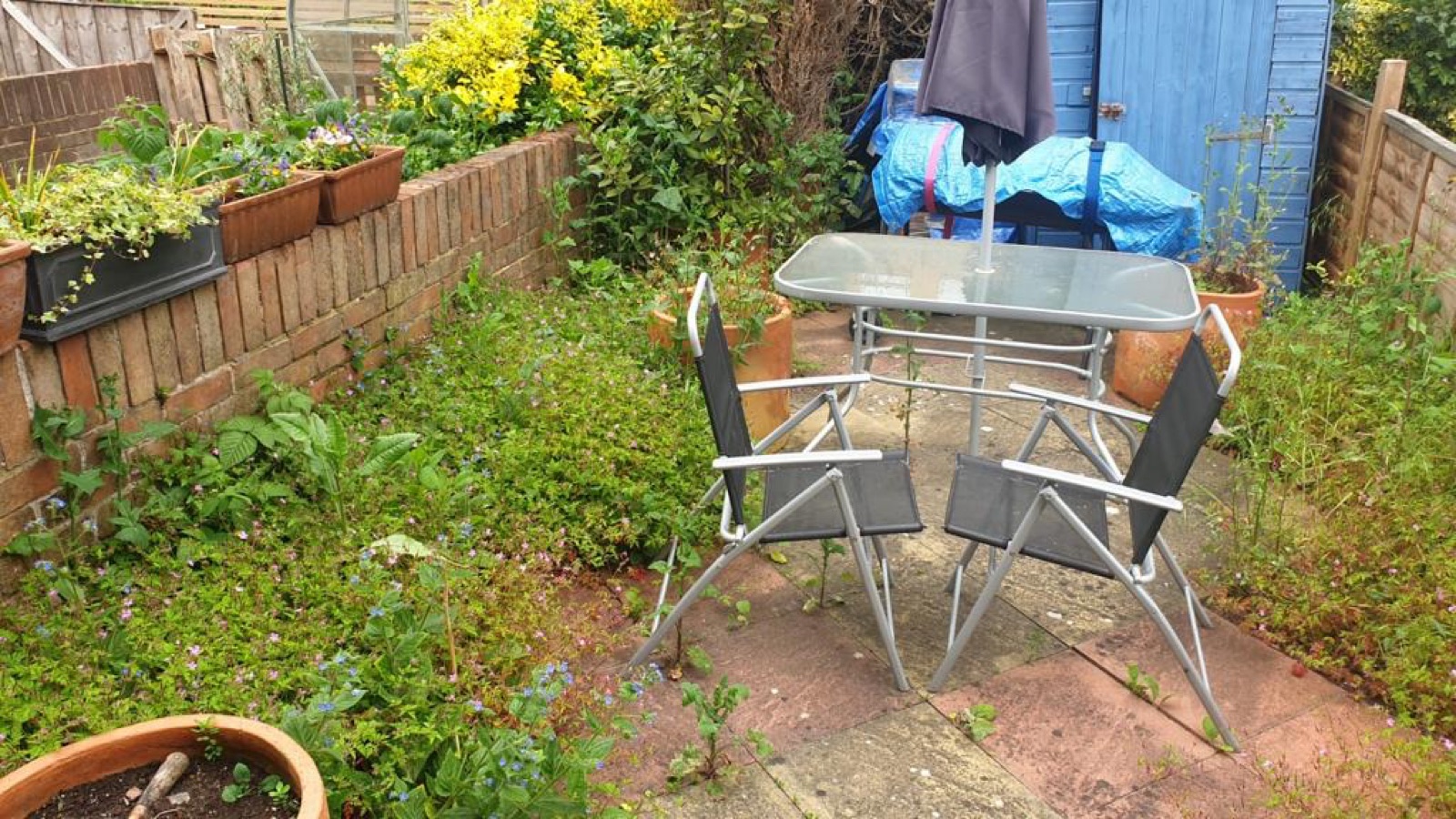 Bring Your Garden To Life in Crouch End London