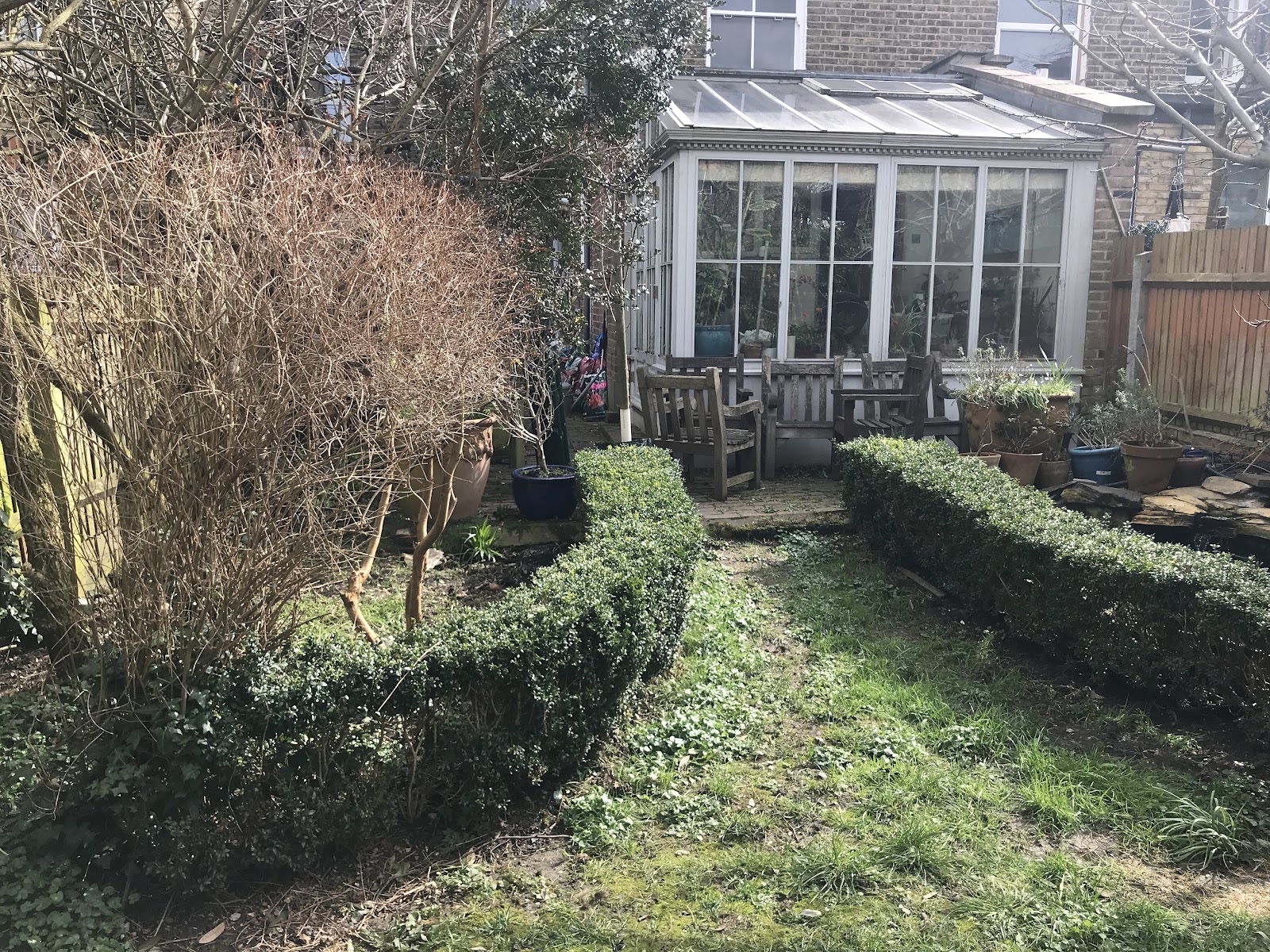 Bring Your Garden To Life in Crouch End London
